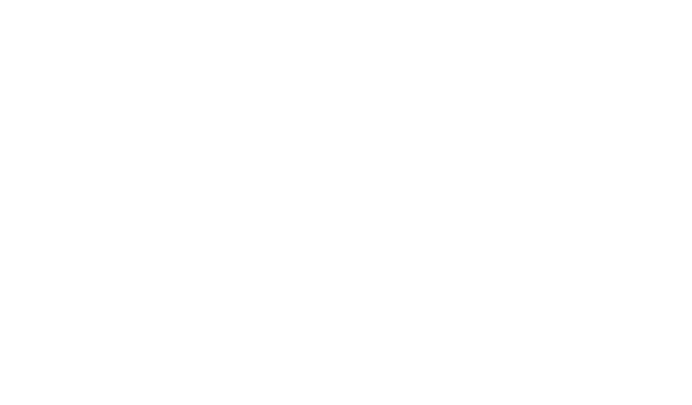 Budget Summary