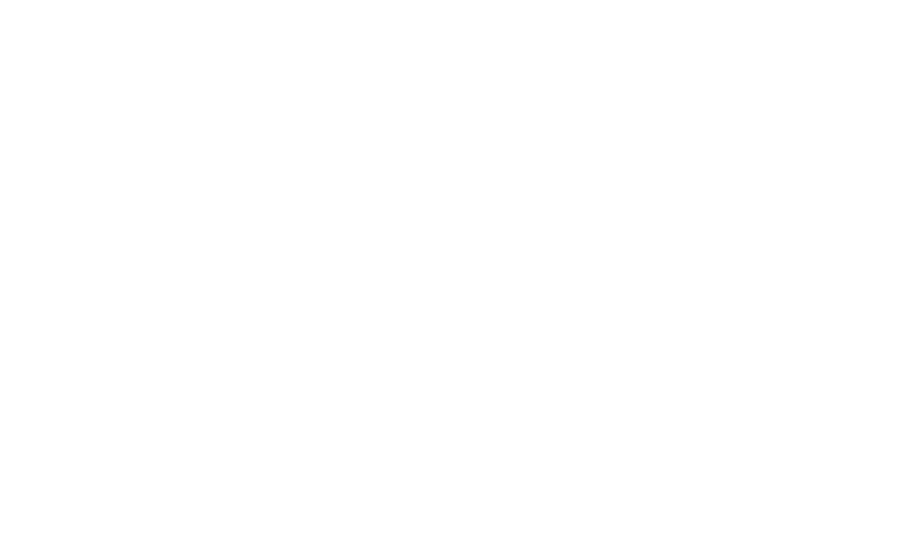 Capital Call Summary