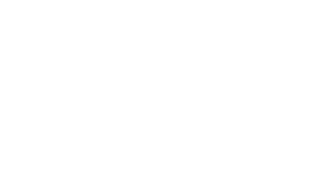 Project Schedule