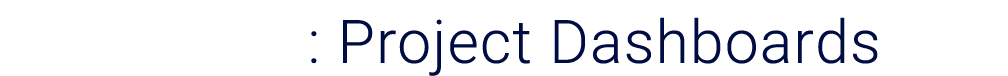 ﻿Appendix E: Project Dashboards