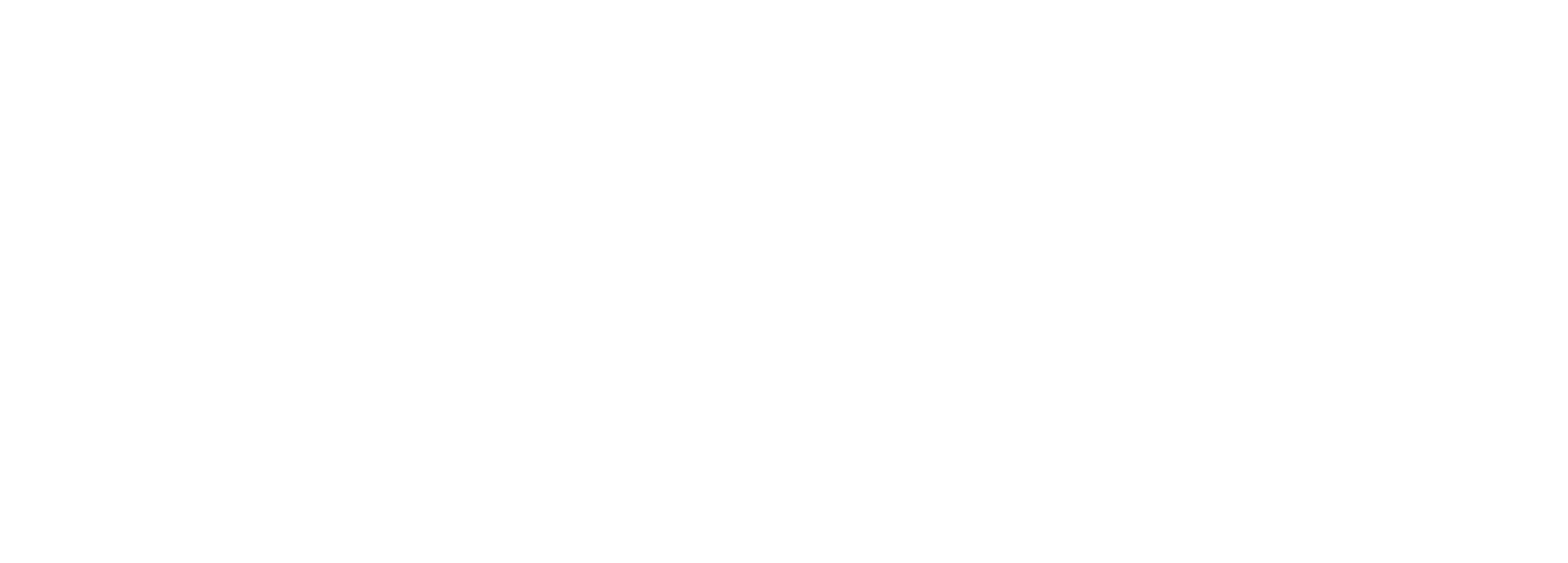 Discovery Initial exploration of circumstances to inform critical and strategic decision making. Preliminary Assessme...