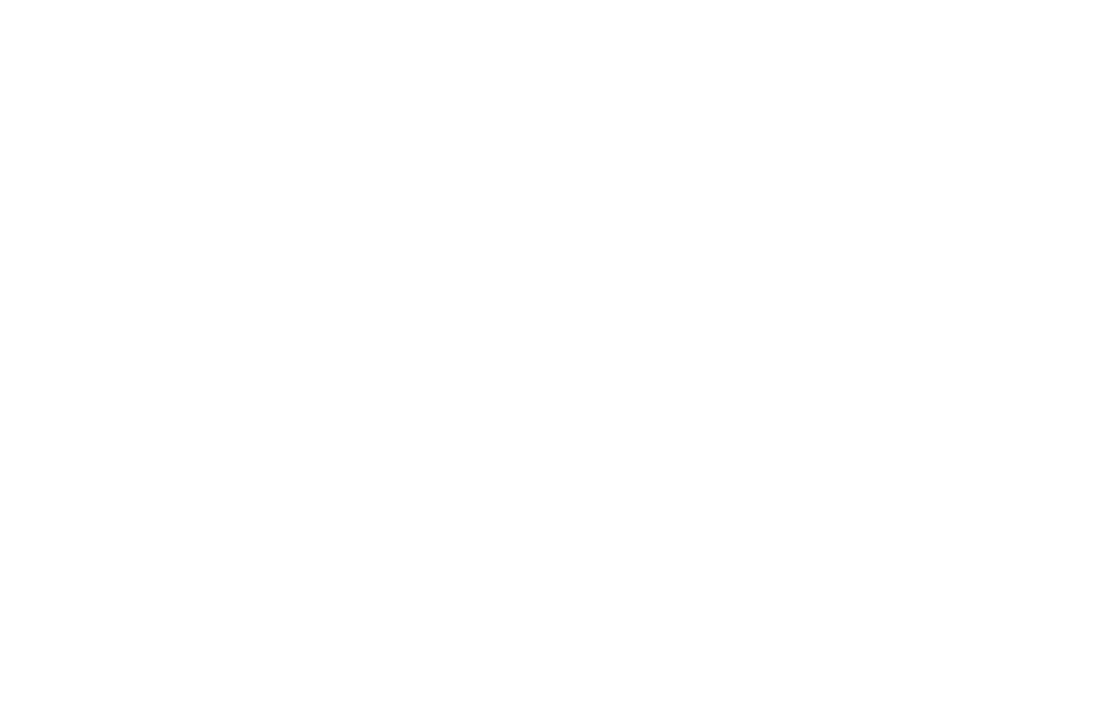 • Manage critical issues • Form and chair executive leadership team • External communications • Risk and opportunity ...