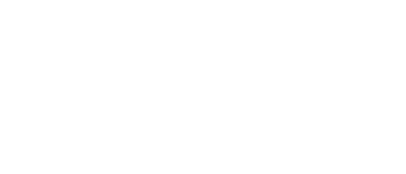 3. Our role – How is our expertise useful? 4. Strategy and Innovation – How are our tools contributing?