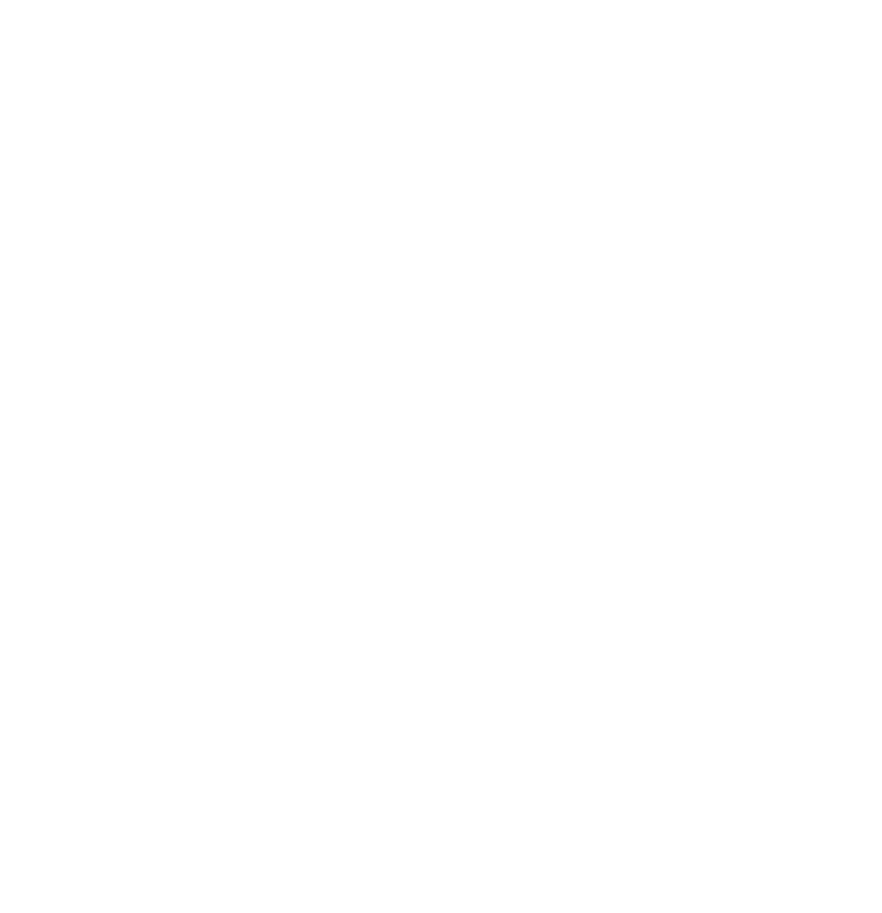 Partnership Governance Finance Lifecycle Project Management
