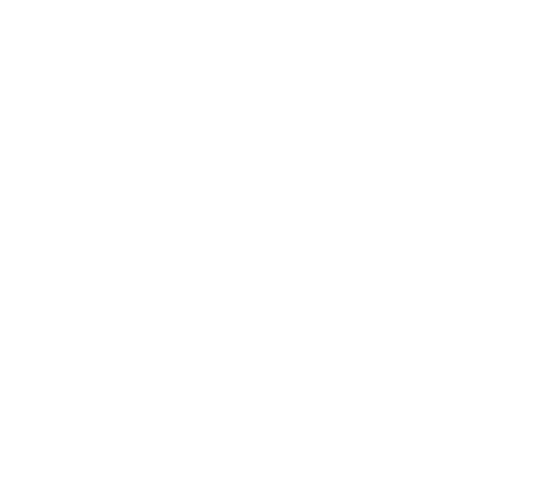 Business Growth Financial Monitoring New Initiatives/Delivery Models