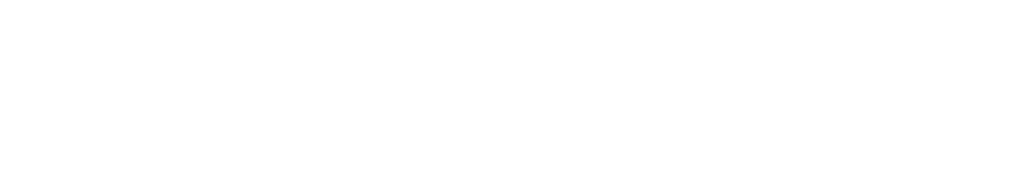 Support role (Class D budget/constructability advice)