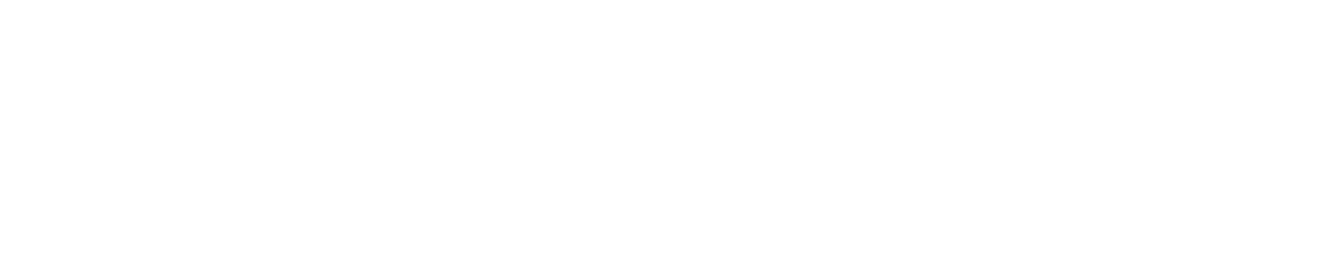 Economic feasibility analysis, financial modelling, financial structuring, and arranging committed debt financing