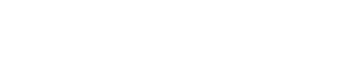 FINANCING SUMMARY: • Hybrid bank/bond structure • Revolving credit facility and single tranche bullet bond